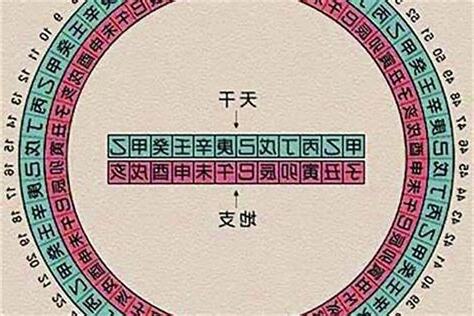 八字 地支